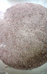 2009.1.29-3.jpg