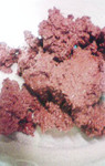 2009.1.29-4.jpg