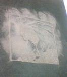 2009.1.31-07.jpg