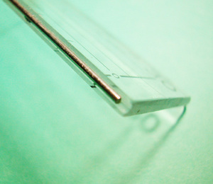 2009.11.13-11.jpg
