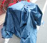 2009.5.27-04.jpg
